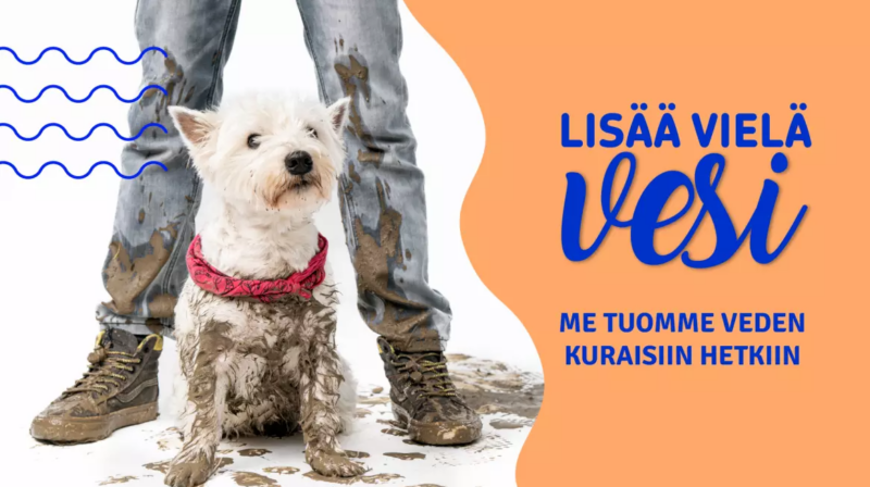 Lisää vielä vesi -kampanjakuva, kurainen koira