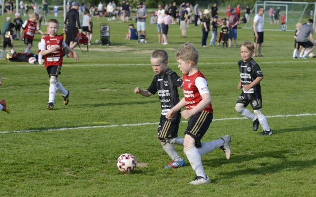 Energialiiga